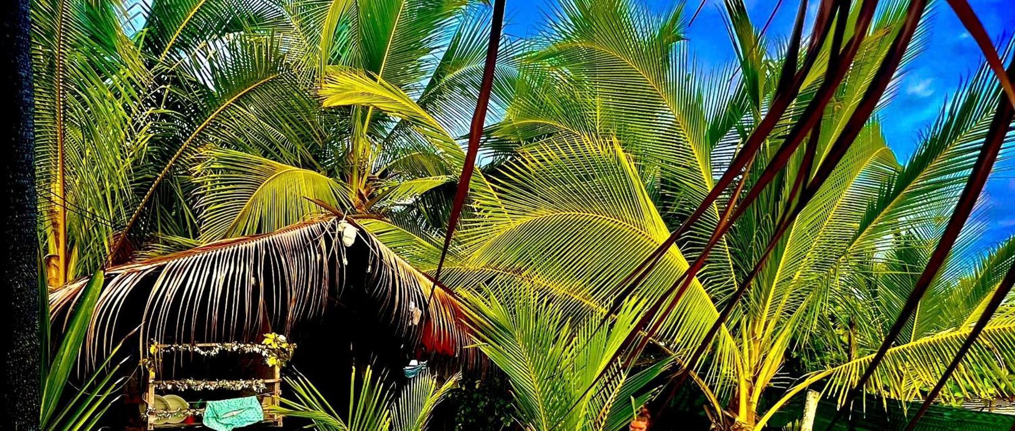 Beachfront Paradise مانويل أنطونيو المظهر الخارجي الصورة