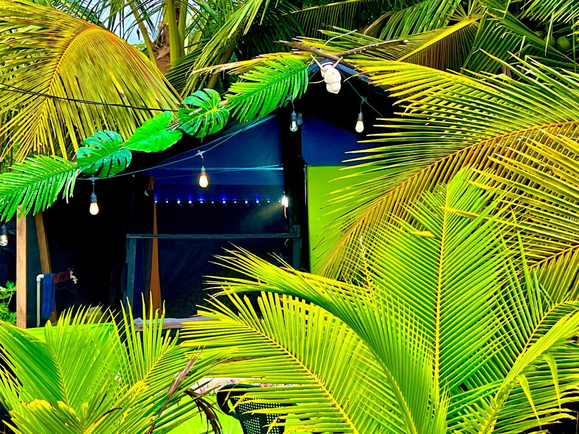 Beachfront Paradise مانويل أنطونيو المظهر الخارجي الصورة
